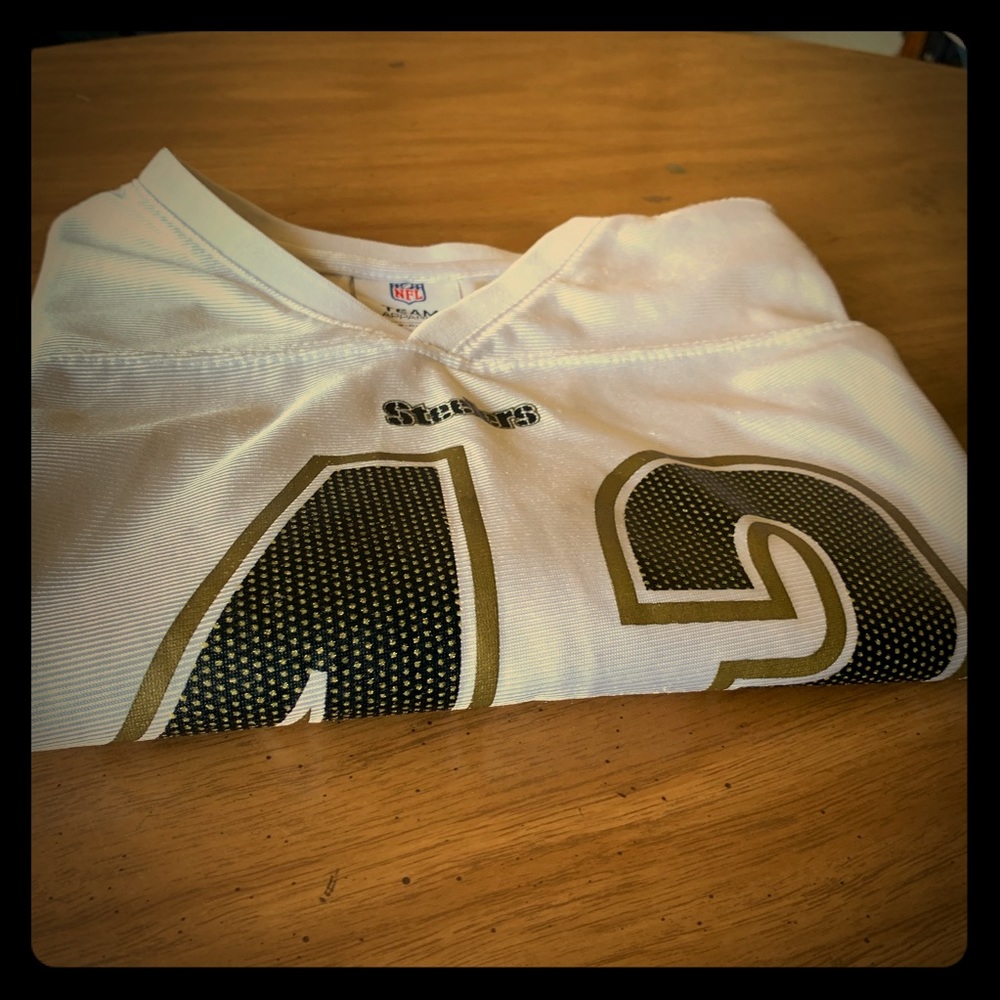 Troy Polamalu Steelers Jersey